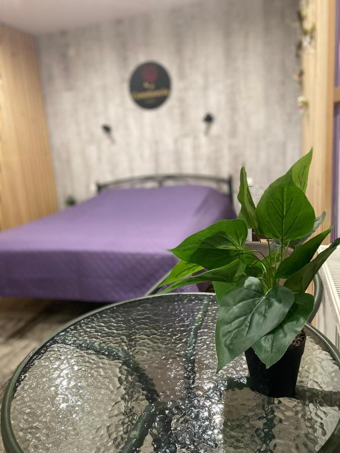 Constancia Hotel Kamianets Podilskyi Bagian luar foto